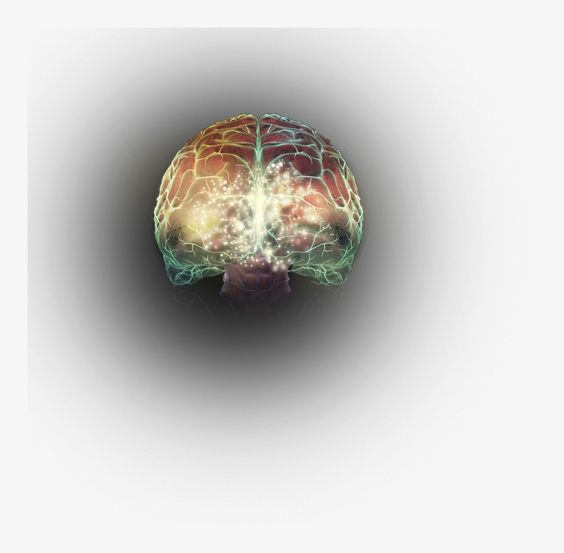 Effect Of Cocaine On Dopamine Levels In The Brain - Dopamine, transparent png download