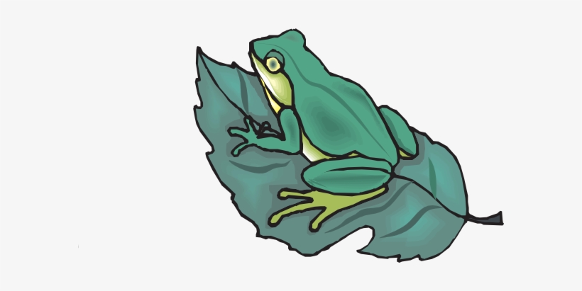 Frog - Frog On A Leaf Clipart, transparent png download