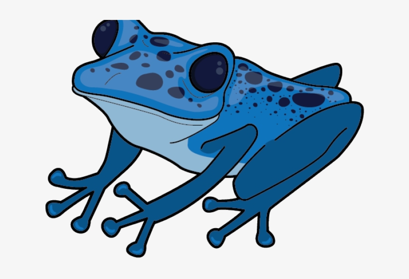 Poison Dart Clipart Clipground Click To Save - Poison Dart Frog Clip Art, transparent png download