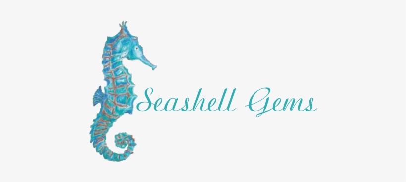 Logo Logo Logo Logo Logo - Seashell Gems, transparent png download