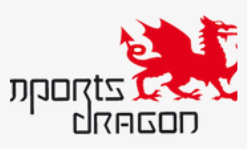 Importsdragonshopkins - Imports Dragon Logo, transparent png download
