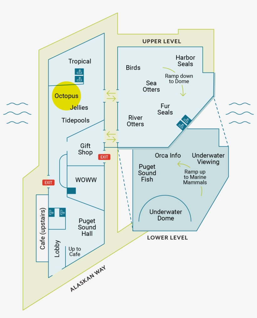 Life Of A Drifter - Seattle Aquarium, transparent png download