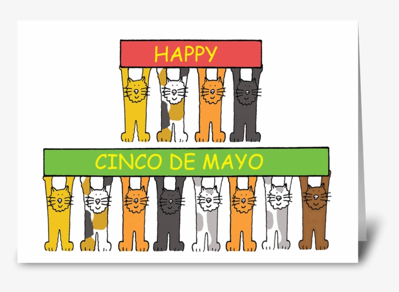 Cinco De Mayo Fun Cats - Funny Hernia Surgery Cards, transparent png download