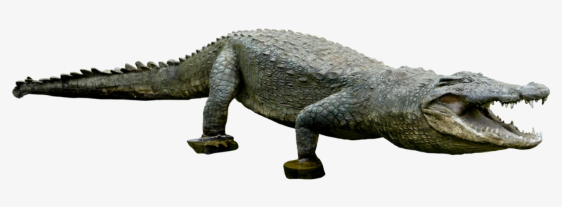 Crocodile Png Clipart - Crocodile Png For Photoshop, transparent png download