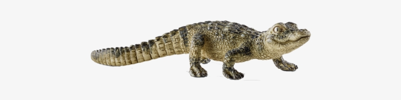Happy Crocodile Cartoon Png Clipart Image - Schleich Alligator, transparent png download