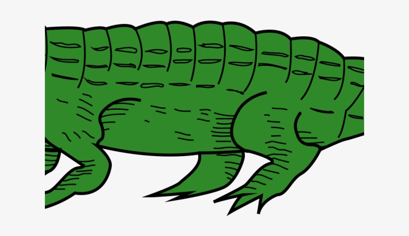 Crocodile Png Transparent Images - Crocodile, transparent png download