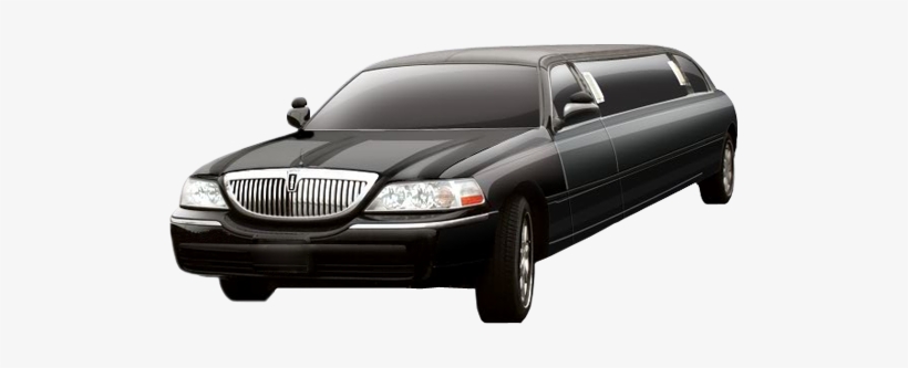 Fill Out The Form And We Will Inform You Within 24 - Florida, transparent png download