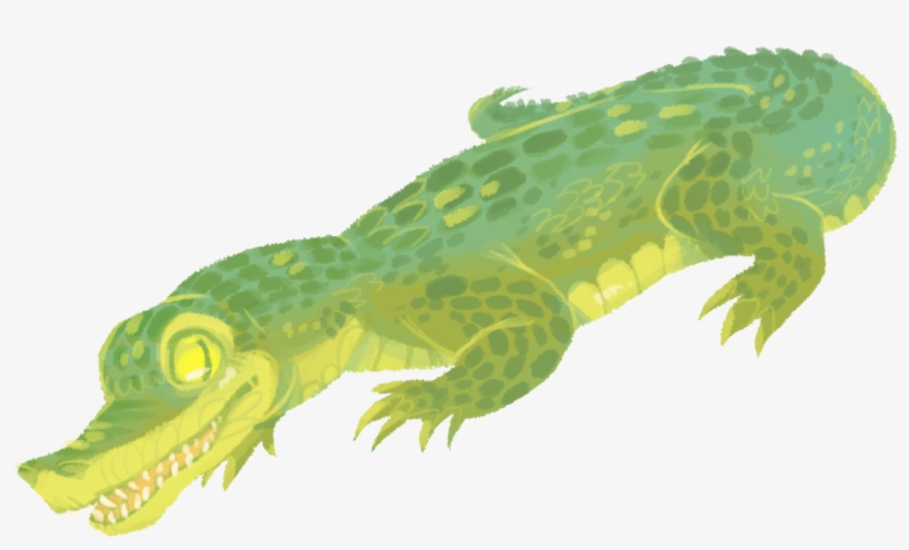 Illustration My Art Alligator Artist Illustrations - Gharial, transparent png download