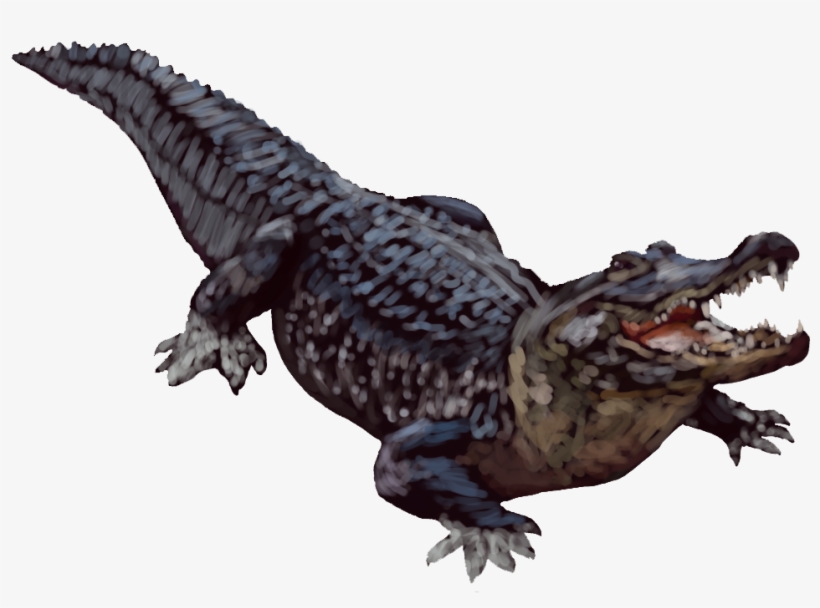 Vector Library Stock Background Png Mart - Alligator Transparent Background, transparent png download