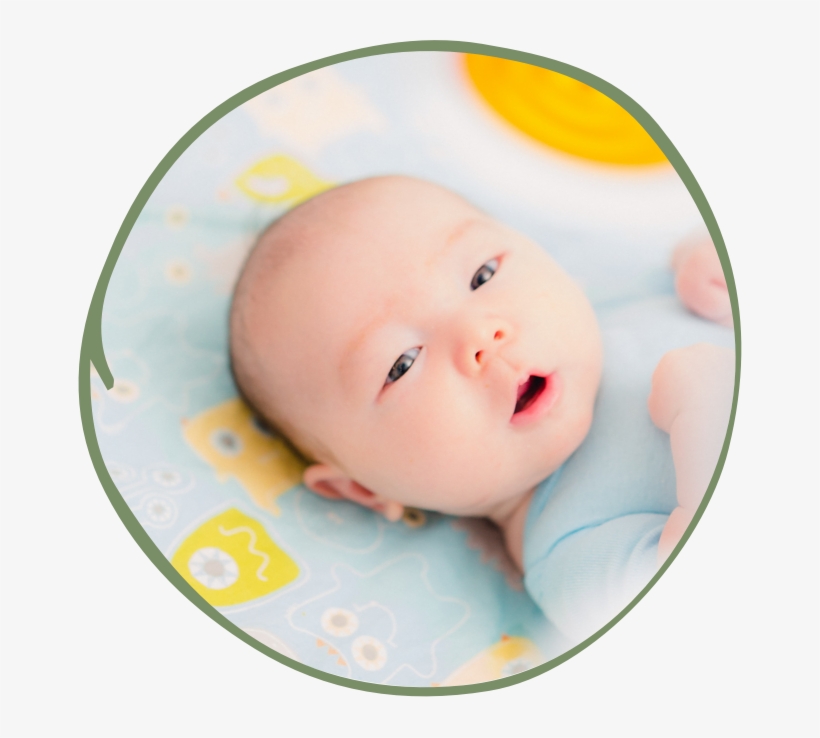 Our Commitment To Quality Begins Long Before Our Organic - Baby, transparent png download