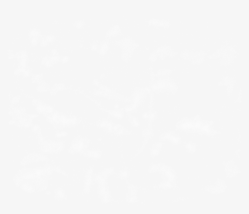 Transparent Photos Blank - Nba Finals Logo White, transparent png download