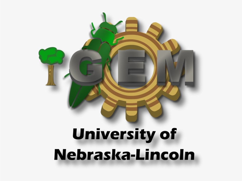 Team - Lincoln, transparent png download