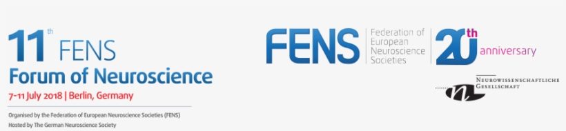 Top Navigation - Portable Network Graphics, transparent png download