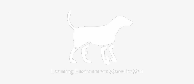 Learning Environment Genetics Self - Dog, transparent png download