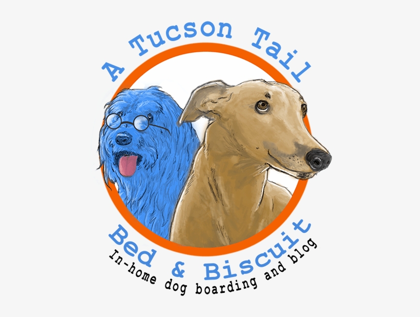 A Tucson Tail Bed & Biscuit - Magyar Agár, transparent png download