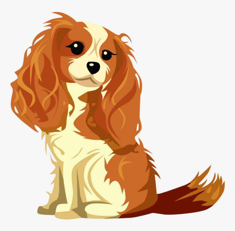 At Once Upon A Tail Where We Treat Your Pet Like Royalty, - Cavalier King Charles Spaniel, transparent png download
