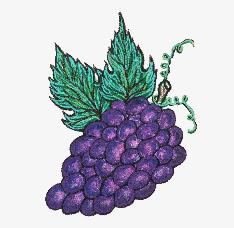 ¿what The Fruta - Seedless Fruit, transparent png download