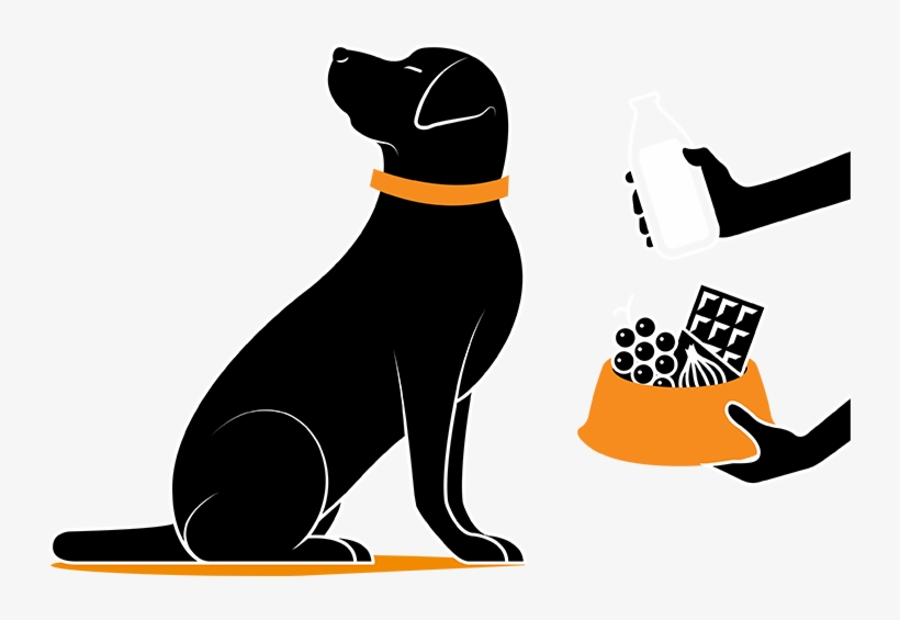 Clipart Transparent De Chiens, transparent png download