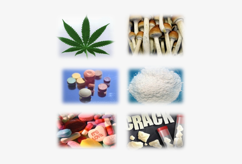 Consequências Da Droga - Best Of Ska Vol.1 Cd, transparent png download