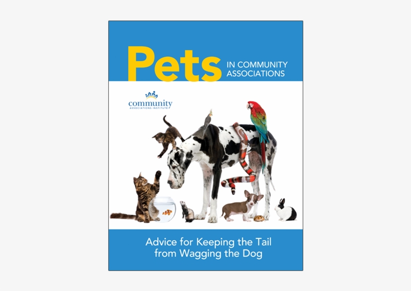 Product Image - Exceptional Names For Extraordinary Pets, transparent png download