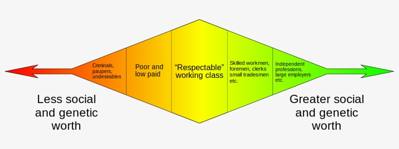And Radically Different Understanding Of The Definition - Eugenics Diagram, transparent png download