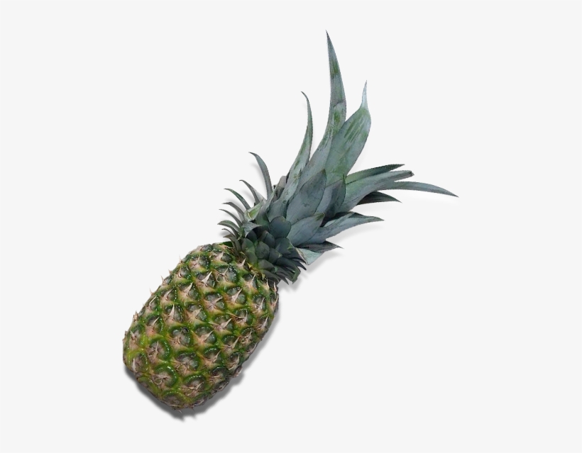 Abacaxi - Courelas Mt., transparent png download