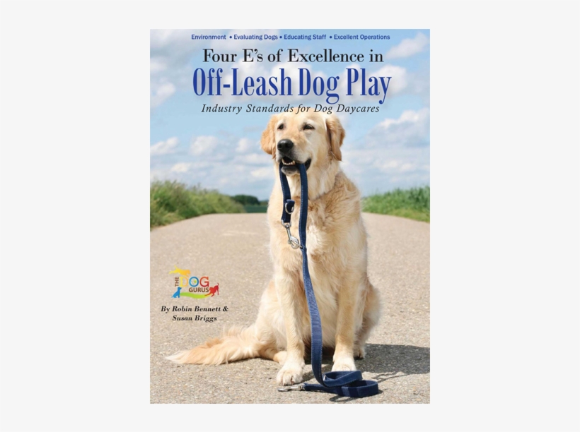 Designing And Running Your Off-leash Playgroup, The - Hip Hound Holidays, transparent png download