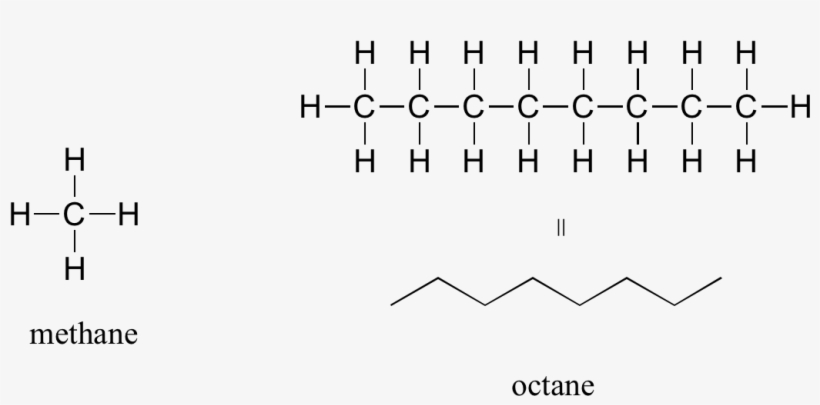 Alkenes - Lipid, transparent png download
