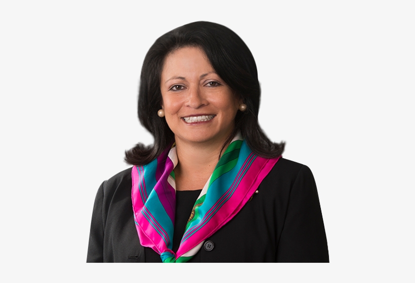Maria Mejia-opaciuch - Woman, transparent png download