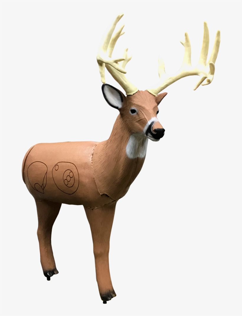Bionic Buck Iii Field Point Classic 3d Archery Target - Archery, transparent png download