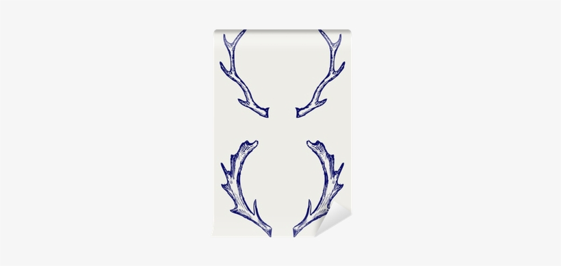 Antler Doodle, transparent png download