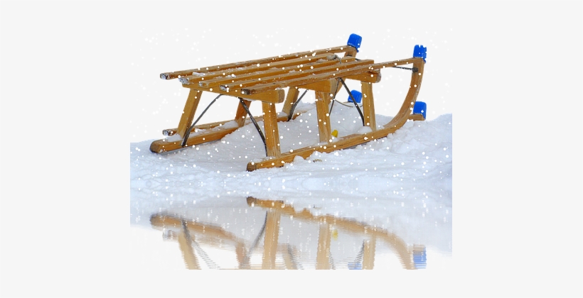 Modern Mississauga Sledding - Winter Pixabay Cute Polar Bear Clipart Png, transparent png download