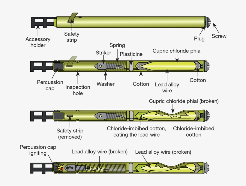 Two Other Sleeping Beauties Are Thought To Have Fallen - Pencil Detonator, transparent png download
