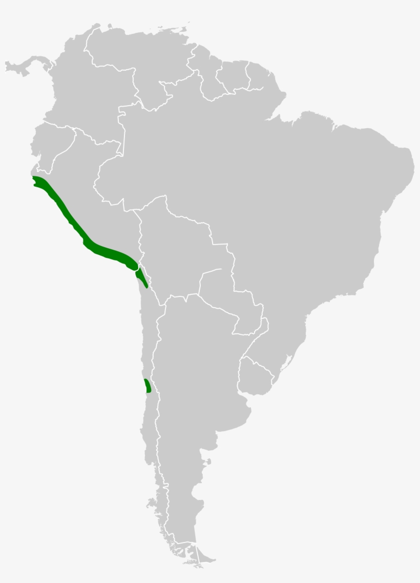 Open - South America Png Map, transparent png download