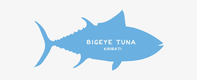 Fish-tuna - Cartilaginous Fish, transparent png download