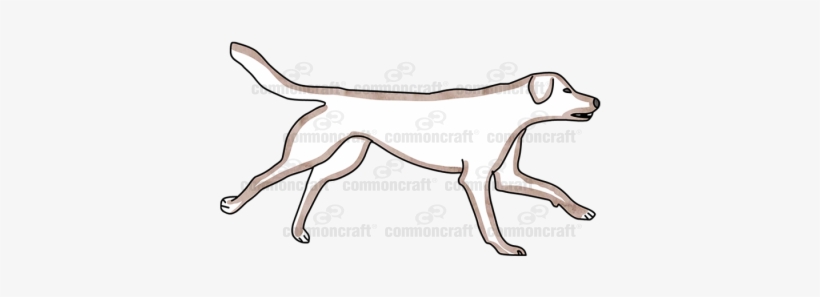 Become A Member To Access Our Entire Library, Including - Ancient Dog Breeds, transparent png download