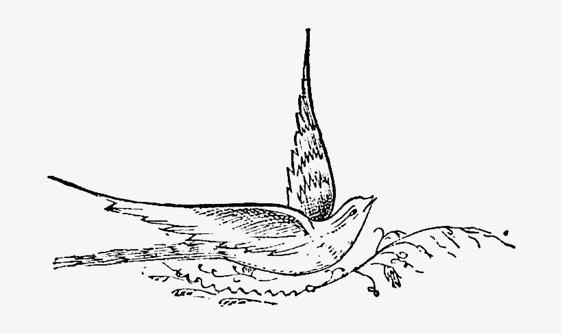 Not Only Can This Digital Stamp Be Used For A Bird-themed - Bird, transparent png download