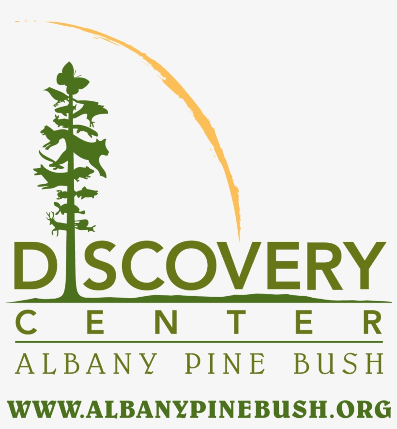 Albany Pine Bush, transparent png download