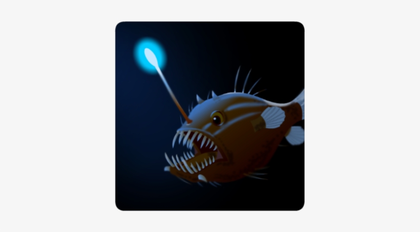Angler Fish - Coral Reef Fish, transparent png download