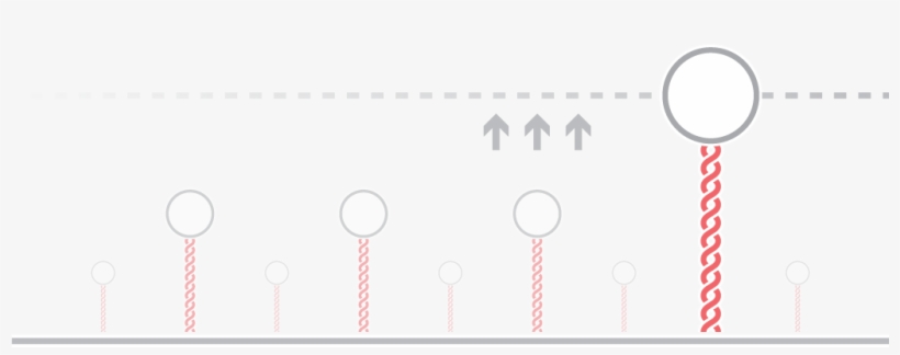 Afs Dna Rna Mechanics - Dna, transparent png download