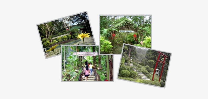 La Union Botanical Garden, transparent png download