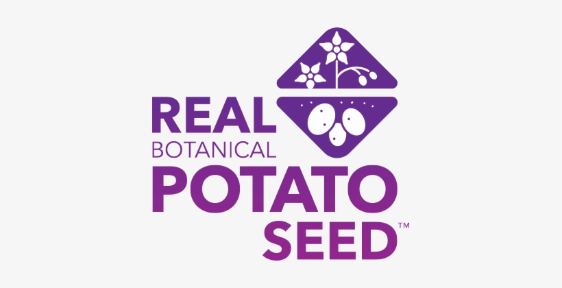 Real Botanical Potato Seed Logo - Toy Story Potato Meme, transparent png download