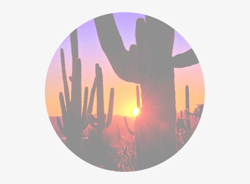 Family - Saguaro National Park, transparent png download