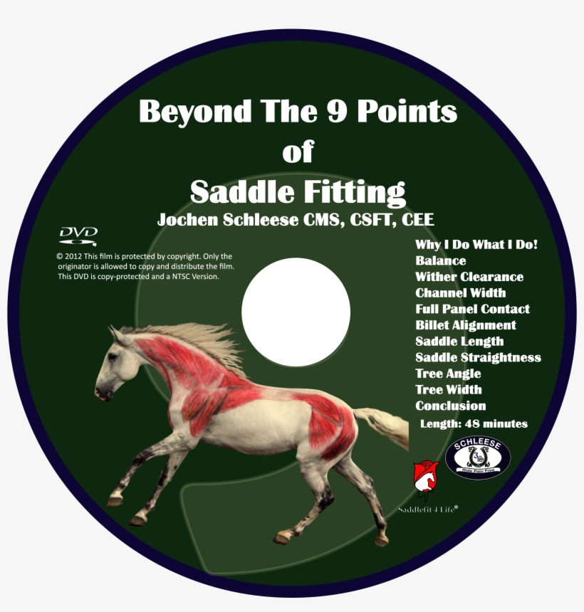 Beyond The 9 Points Of Saddle Fitting Video Download - 2017 Equus Film Festival, transparent png download