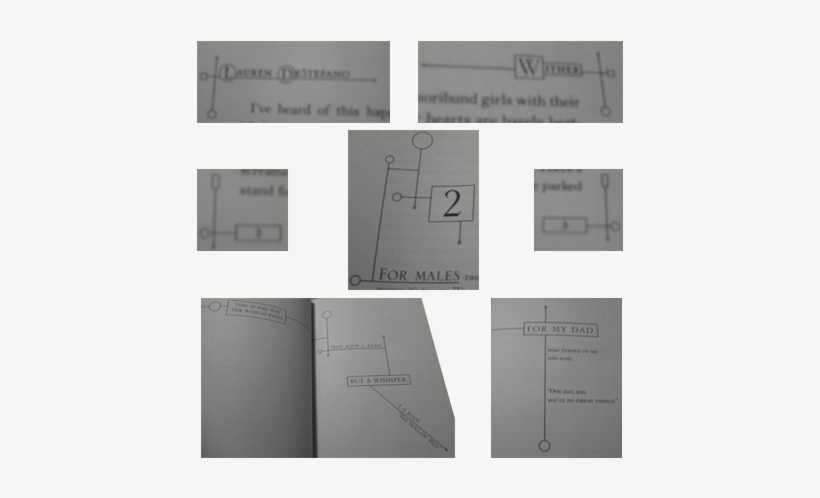 "wither" By Lauren Destefano - Book, transparent png download