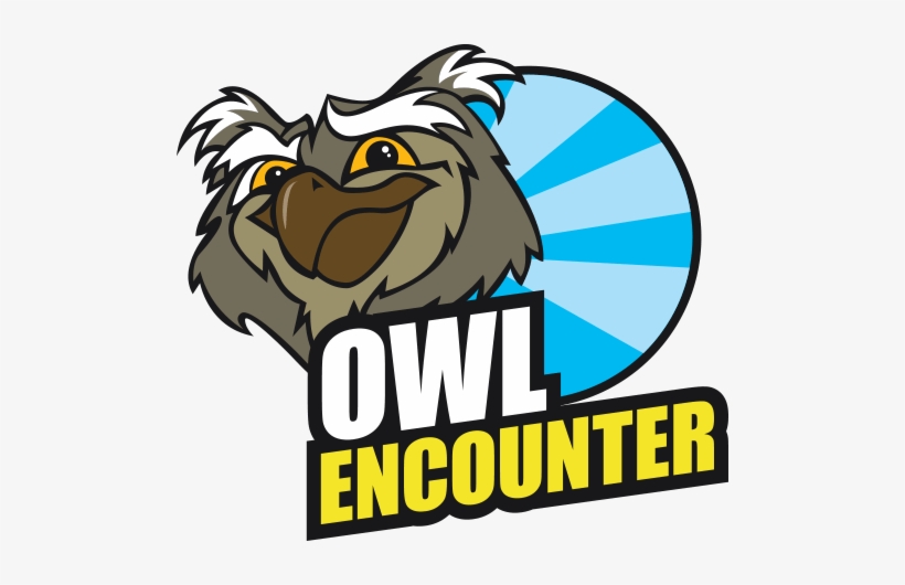 If You'd Like An Extra Special Experience With Owls - Pembrokeshire, transparent png download
