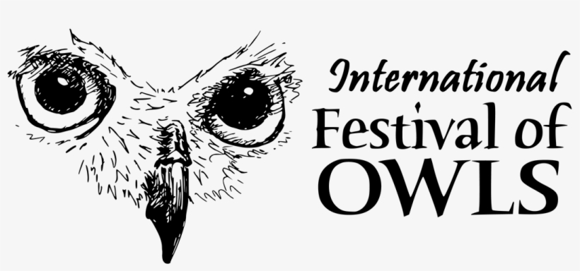 Owl, transparent png download