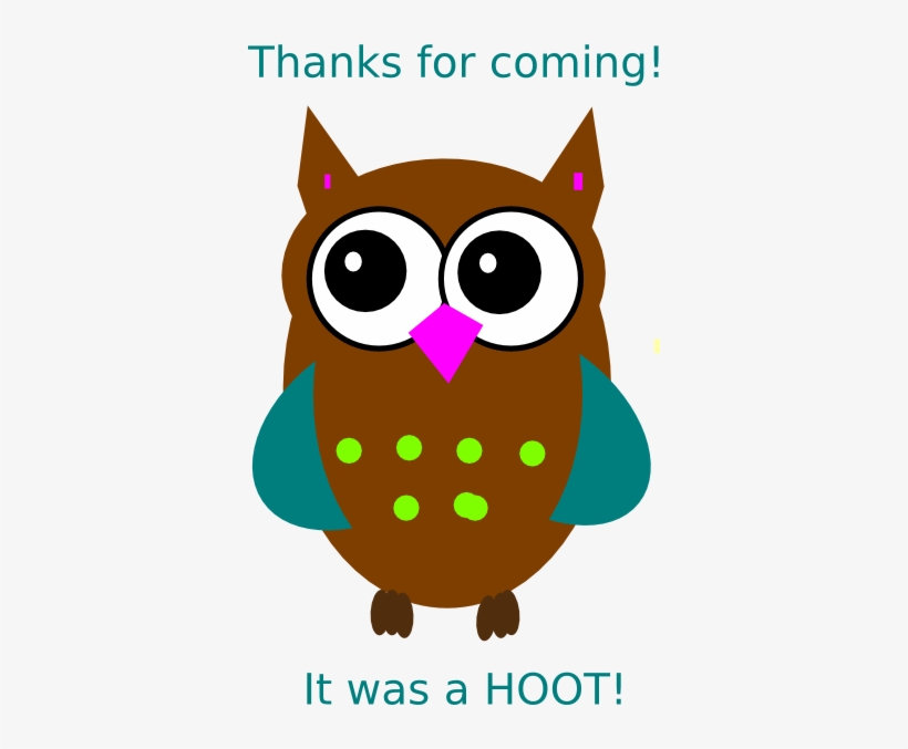 Colourful Cartoon Owl, transparent png download