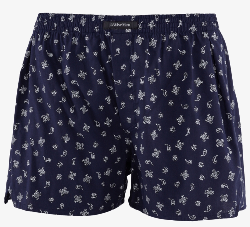 Board Short, transparent png download