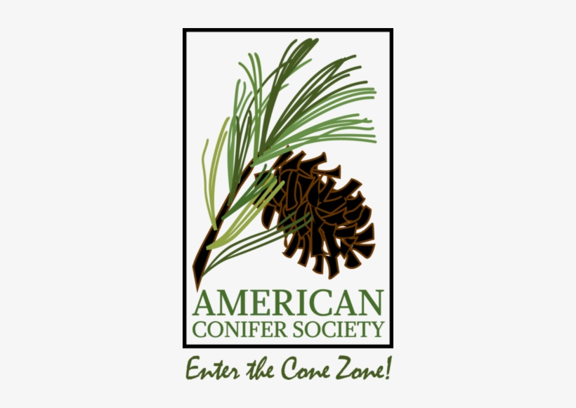 From A To Z To Your Backyard - American Conifer Society, transparent png download